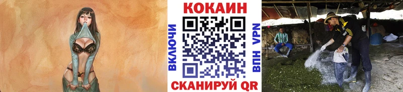 COCAIN Колумбийский  Муром 