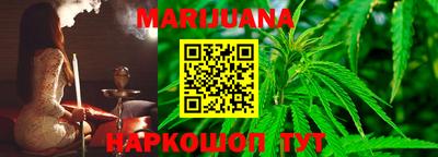 Альфа ПВП Бийск
