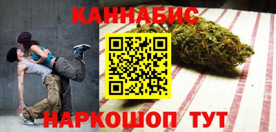 Альфа ПВП Бийск