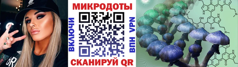 Галлюциногенные грибы GOLDEN TEACHER  blacksprut онион  Муром 