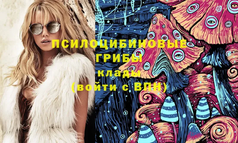 Галлюциногенные грибы Magic Shrooms  MEGA tor  Муром 